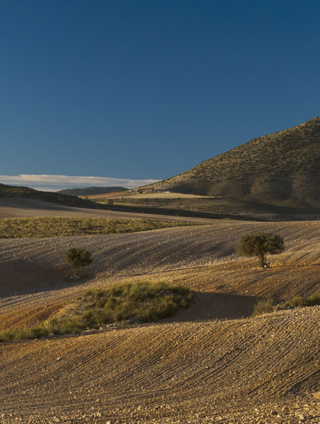 <strong>12</strong> Desde el principio