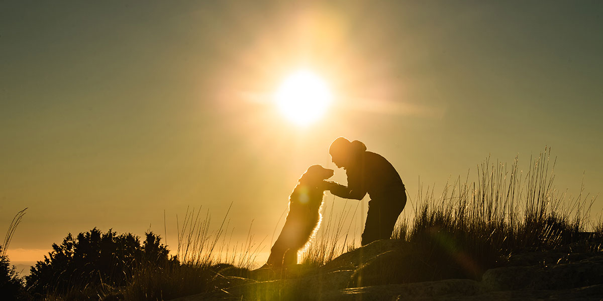 Icono VOUS ASSURE QUE