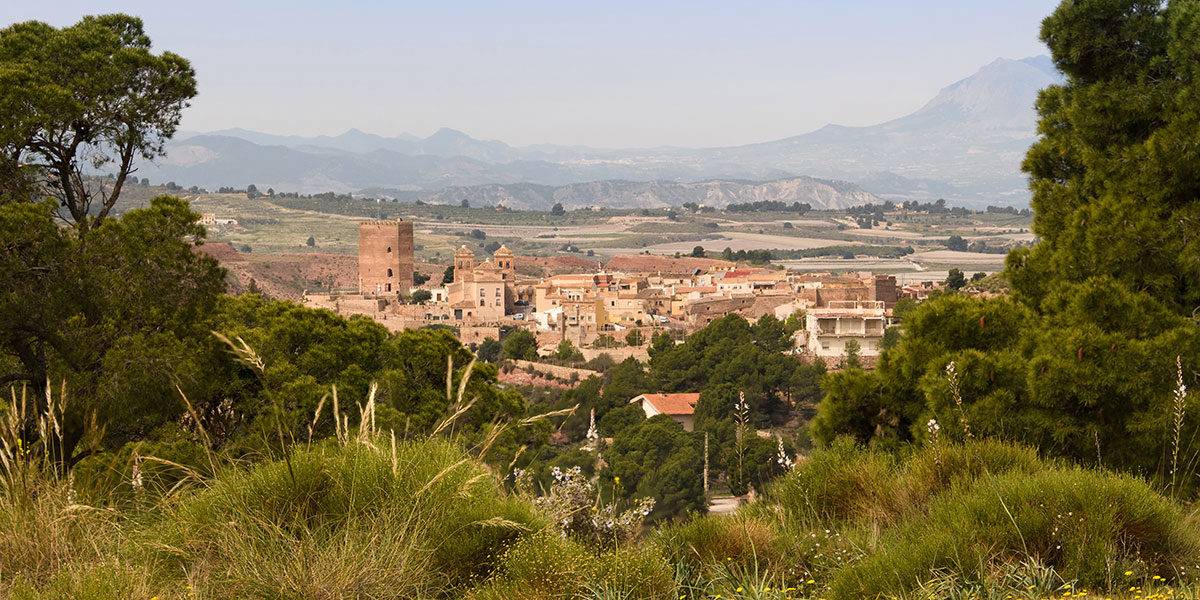 Icono D�COUVREZ-NOUS