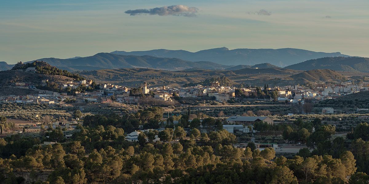 Icono D�COUVREZ-NOUS