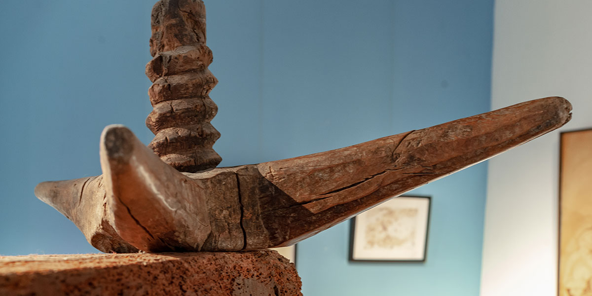 Icono 700 a�os de la monastrell