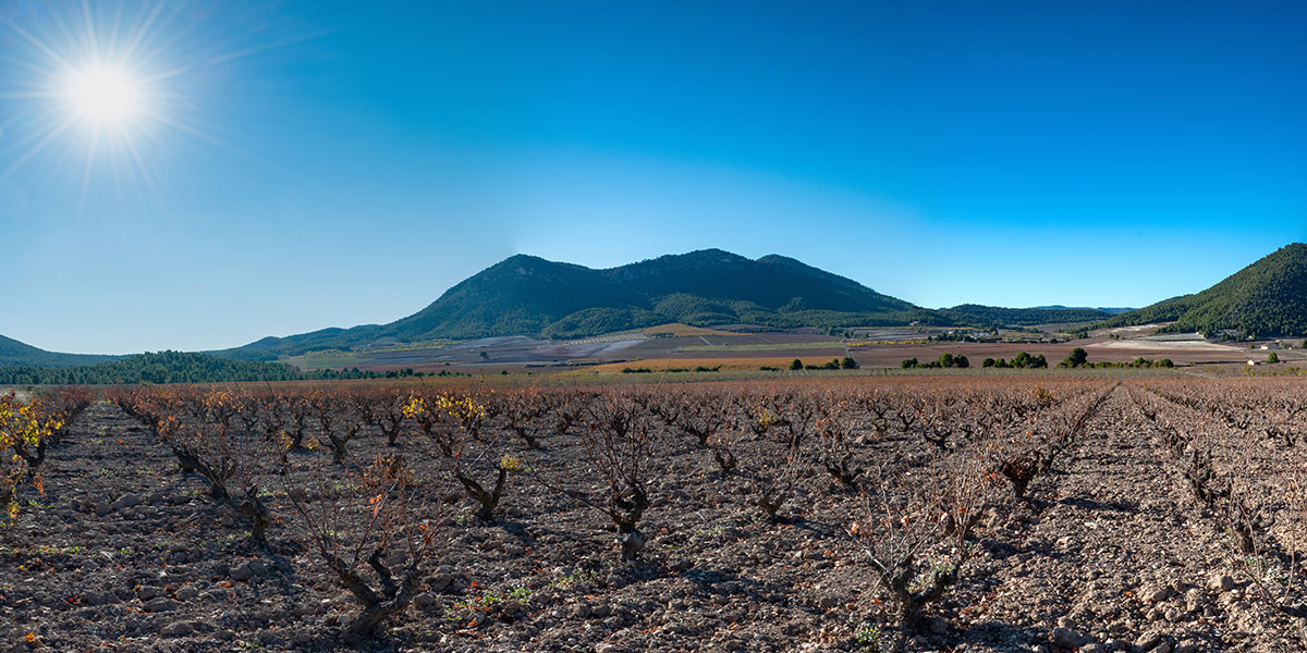 Icono ZONA DE PRODUCCI�N