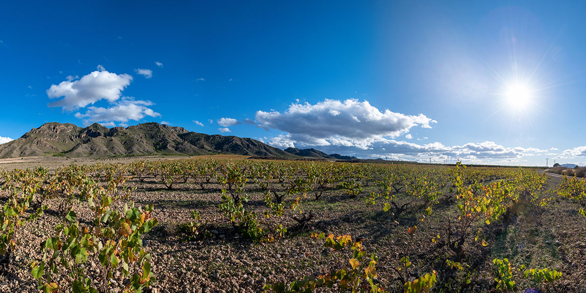Icono HACER SENDERISMO