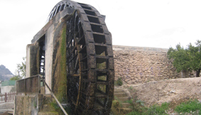 1. NORIA DE LA HOYA DE DON GARC�A