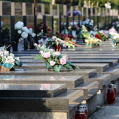 Visitas guiadas para la ocasi�n