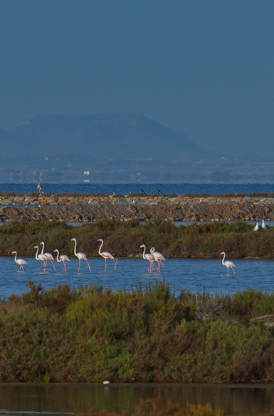 Arenales y Salinas de San Pedro