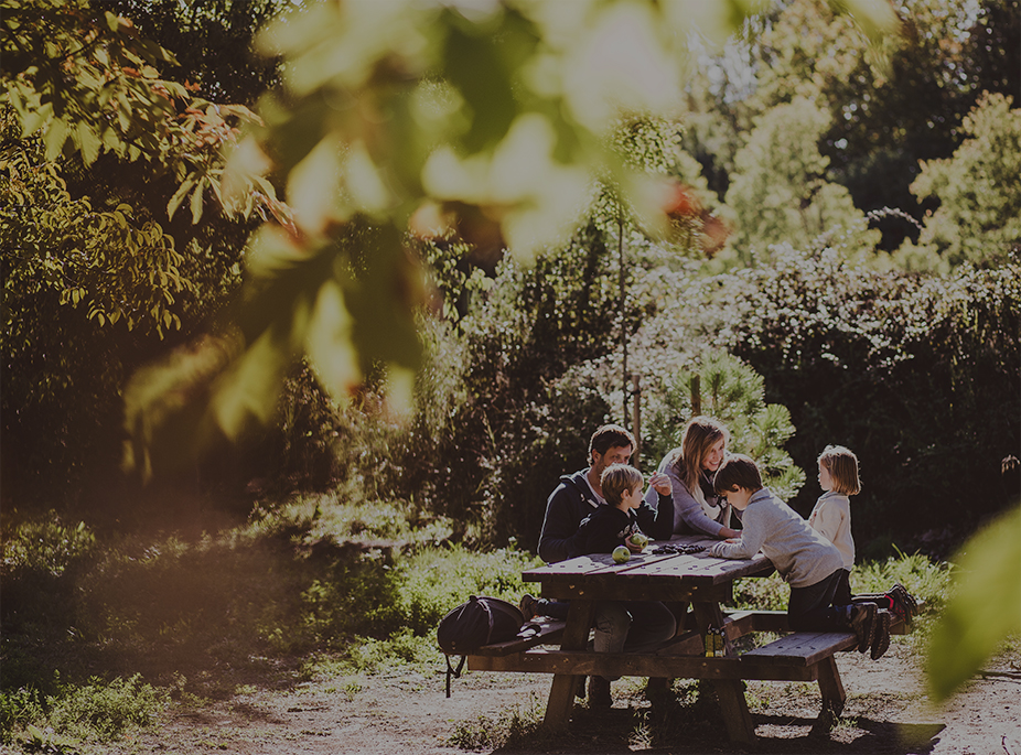 Fuentes del Marqu�s