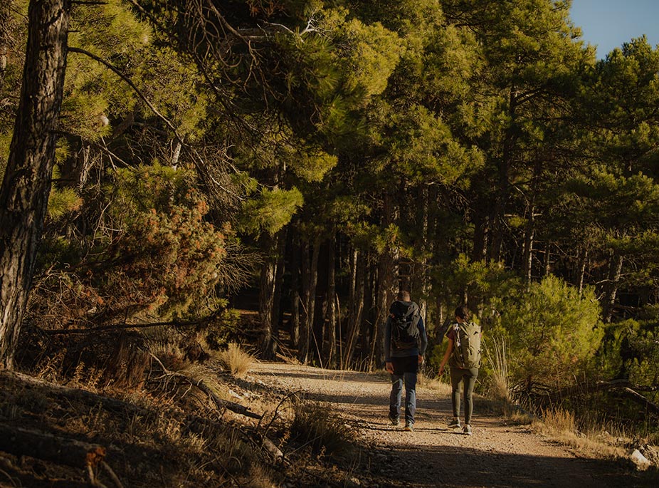 La ruta la marcas t�