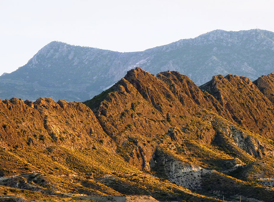 ENTRE EL CAMPO Y LA HUERTA