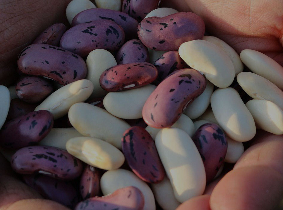 <i>ARROZ CON HABICHUELAS OR EMPEDRADO</i>