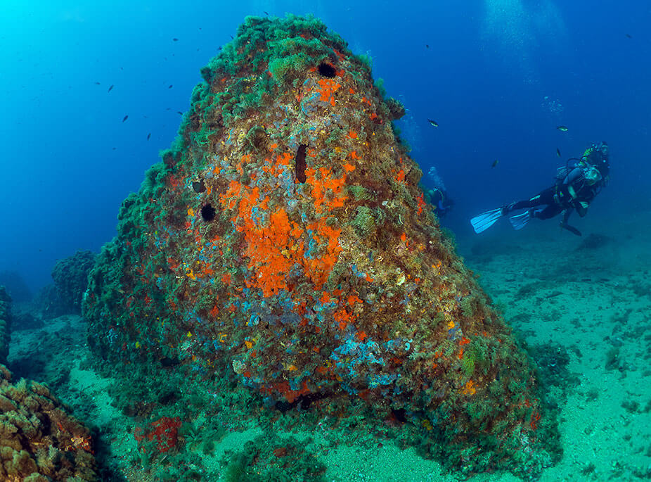 JUST FOR ENERGETIC PERSONS