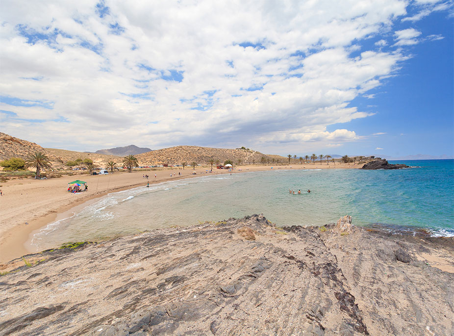 AMONGST THE PALM TREES