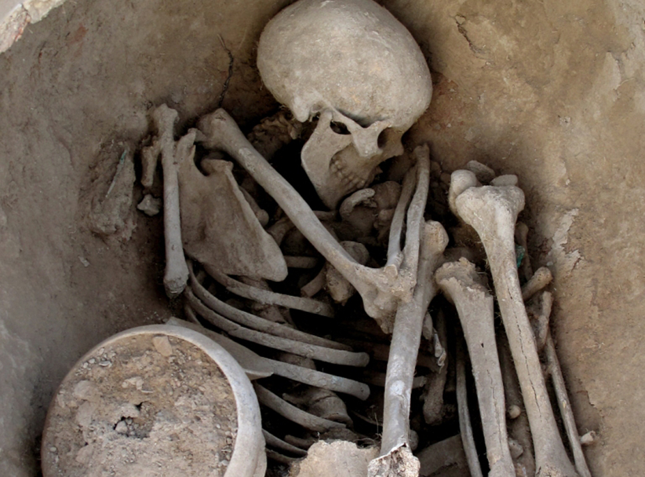 AMANTES DE LA ARQUEOLOG�A