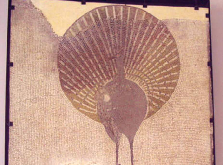 DAS WISSEN DER VERGANGENHEIT