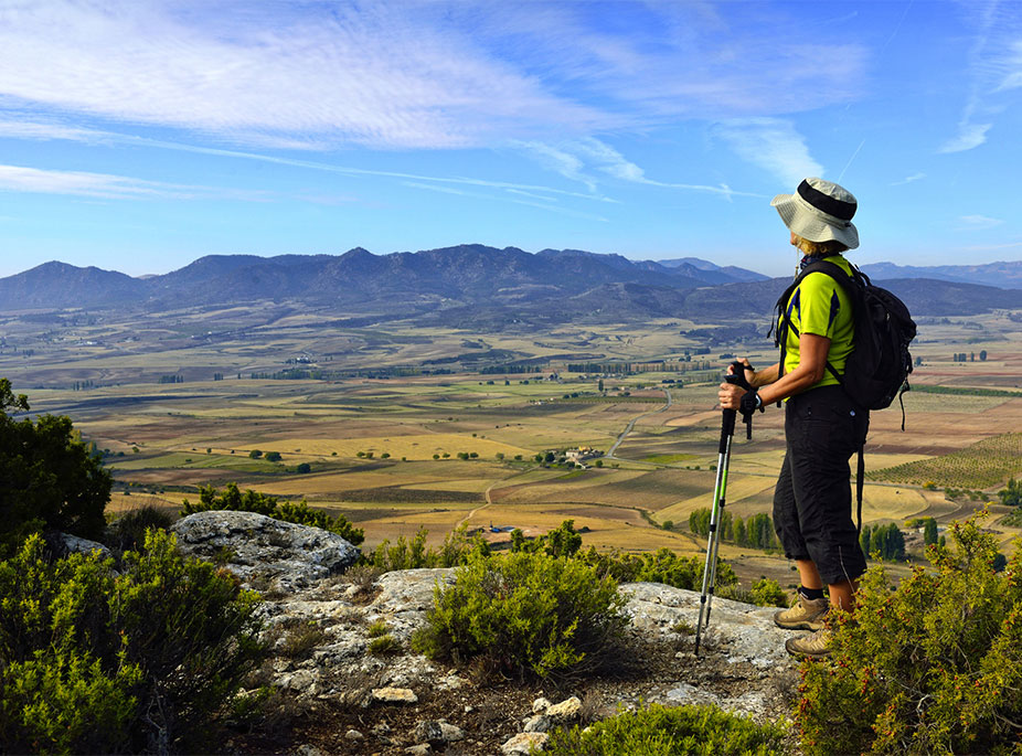 WALKER, THERE IS NO PATH TO FOLLOW