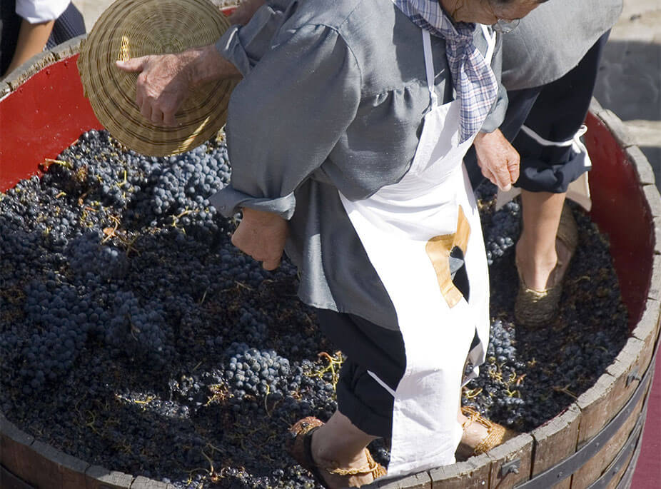 DON'T STOP THE PARTY!