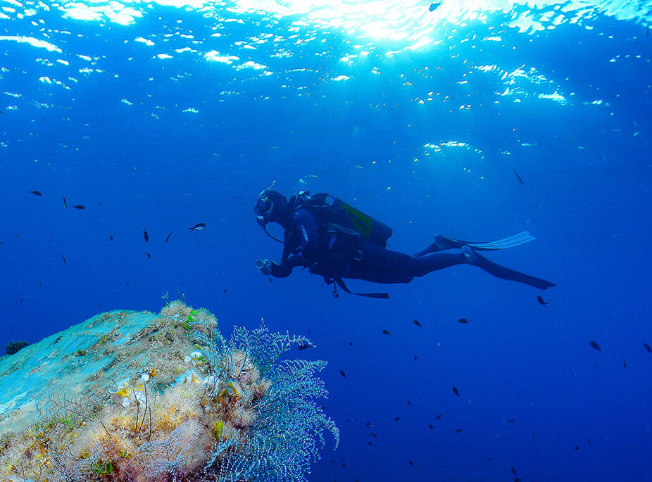 WANDERN ODER TAUCHEN?