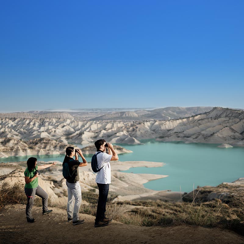 Especies Flora Ecoturismo