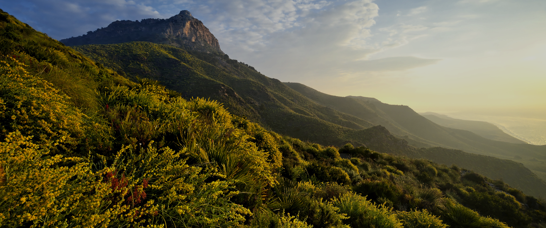 Nature, Tourisme Actif et Aventure