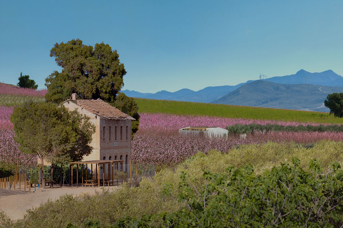 V�a Verde de la Floraci�n de Cieza