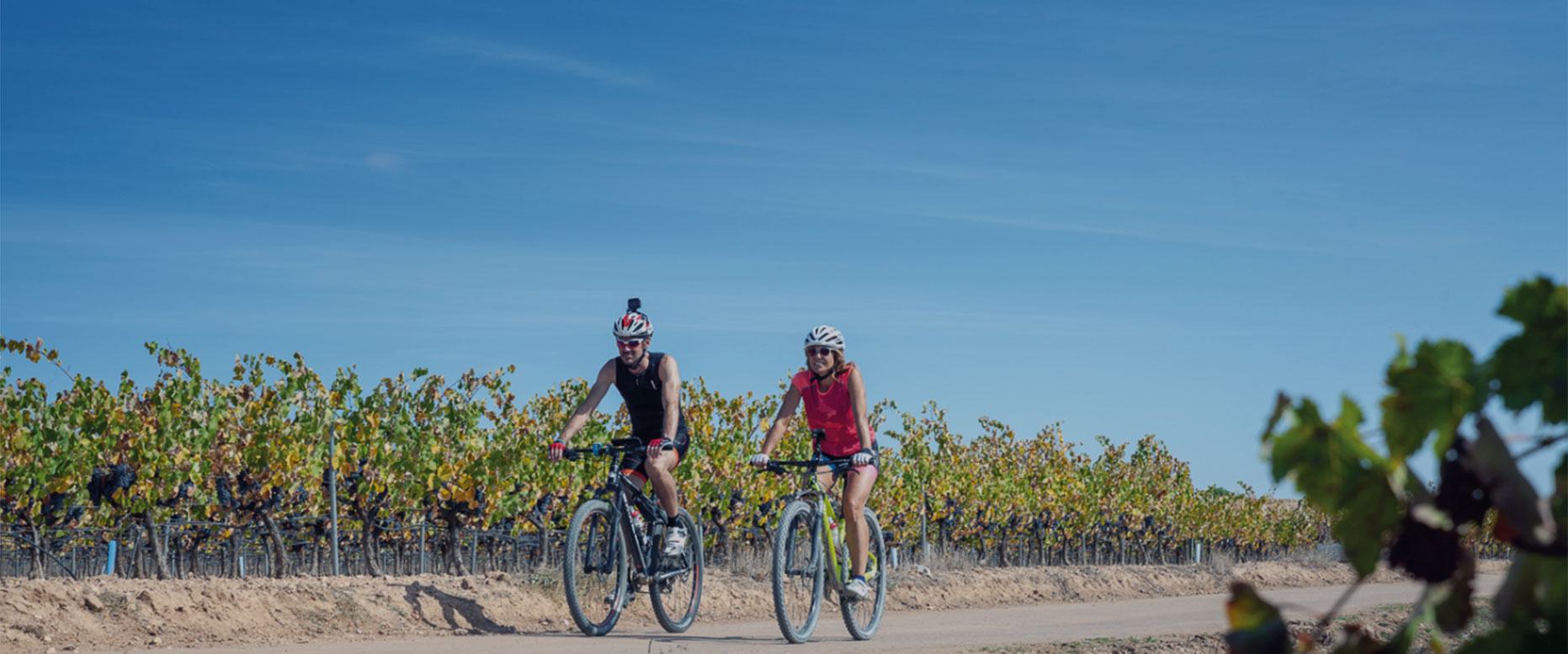 V�a Verde del Chicharra Yecla