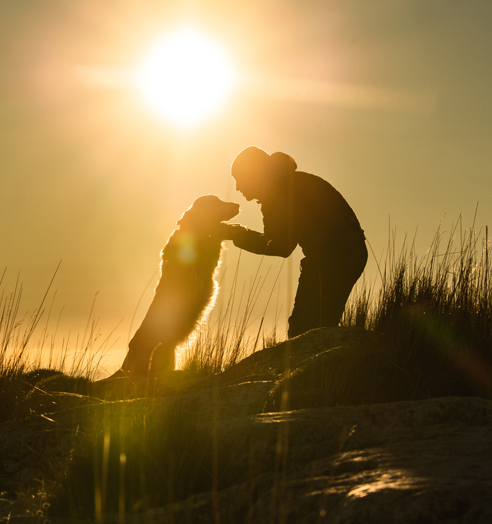 Travel with your pet