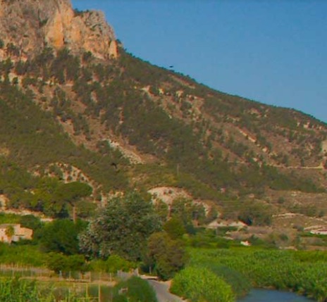 Cieza, historia a orillas del Segura