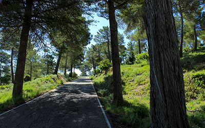 Espuroad. North Route Espuroad. North Route