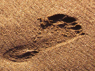 Plages Sauvages Plages Sauvages