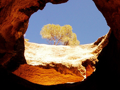 Un Jour d'oenotourisme  Jumilla