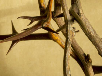Holy Week Jumilla Holy Week Jumilla