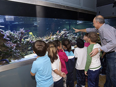 Culture with your family in Murcia Culture with your family in Murcia