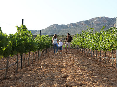 Culture with your family other destinations Culture with your family other destinations