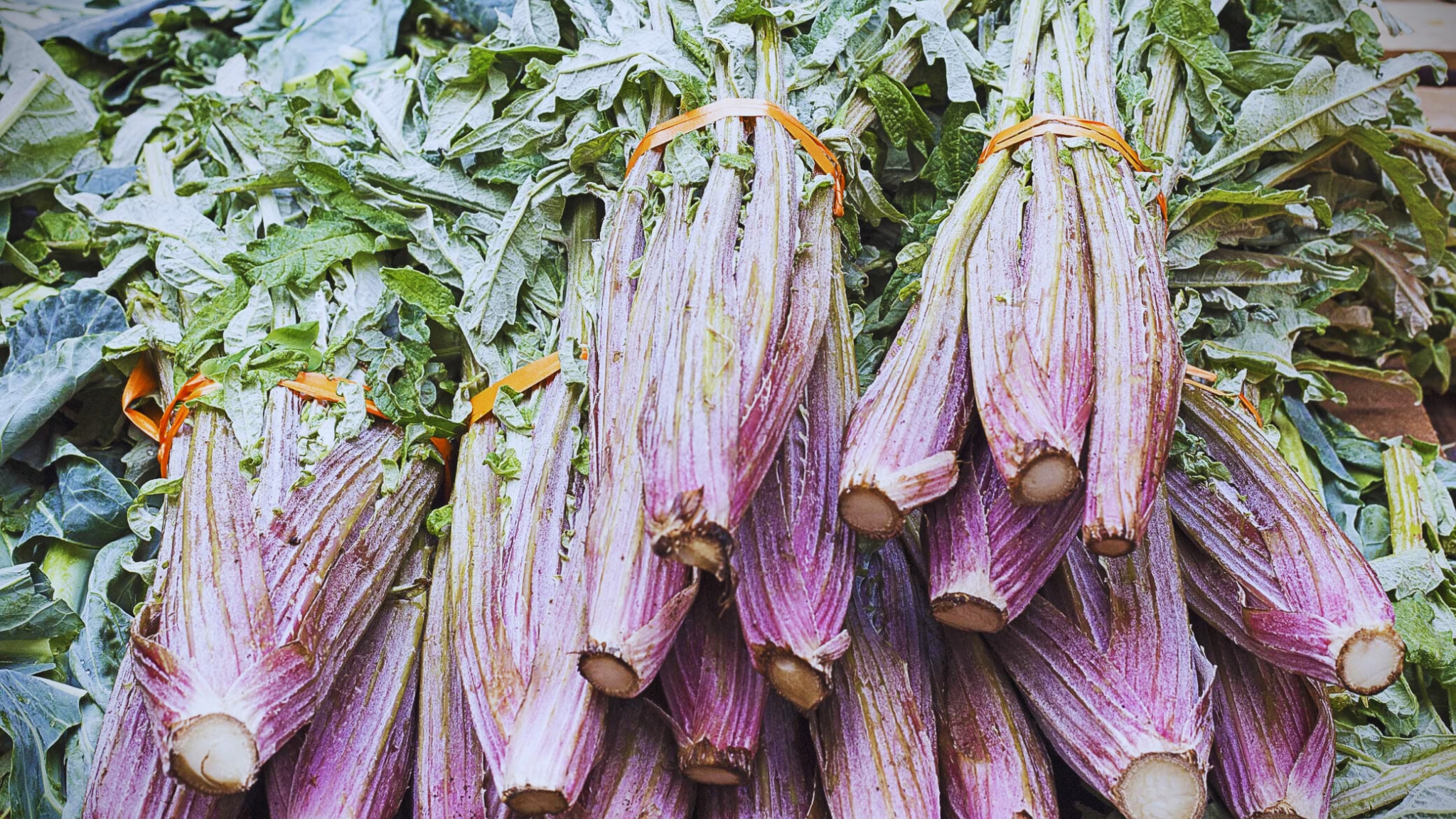 Productos 'secretos' de la Huerta de la Regin de Murcia para cocinar en Navidad