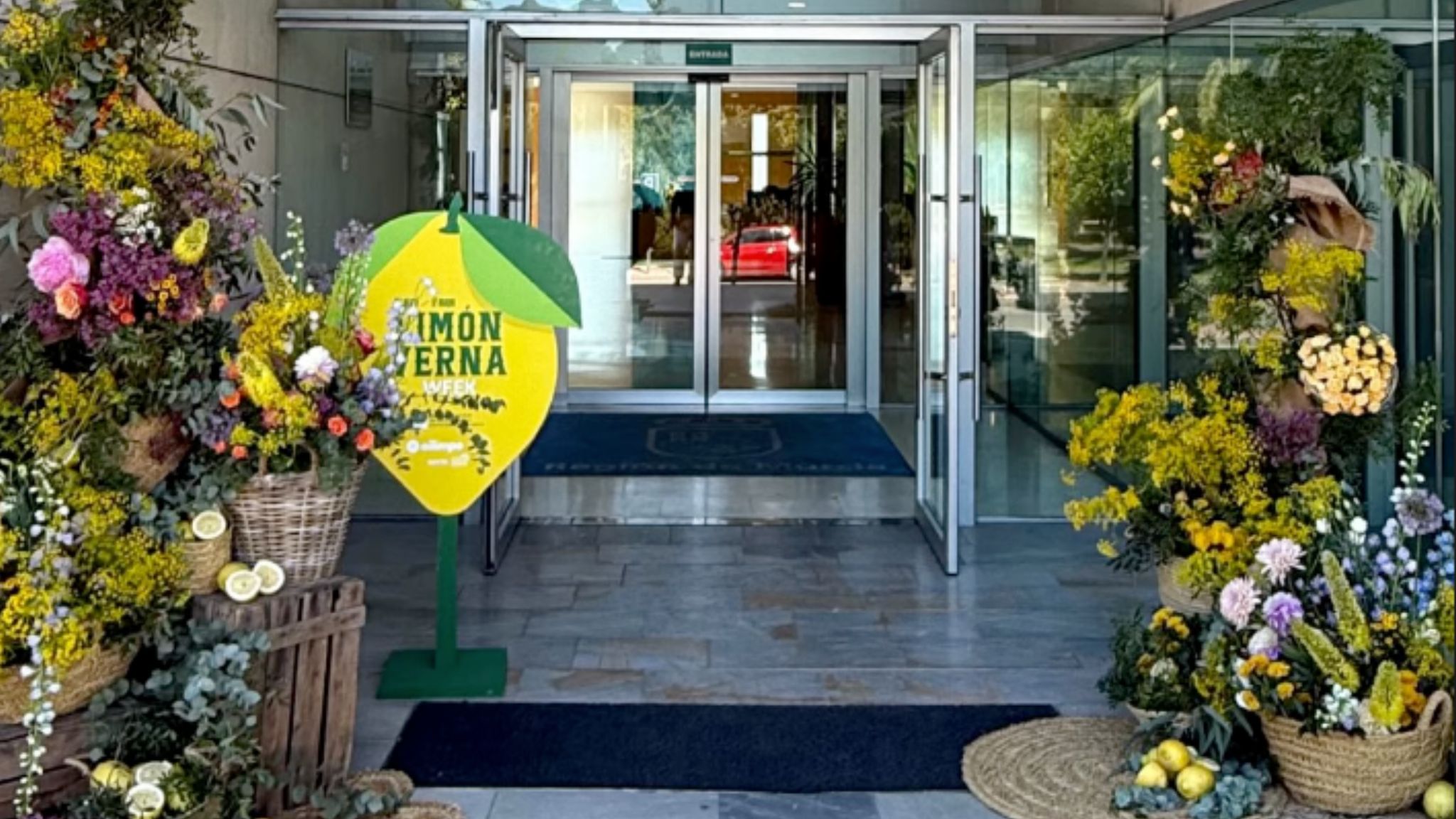 El lim�n Verna cierra su semana grande en CCT Murcia