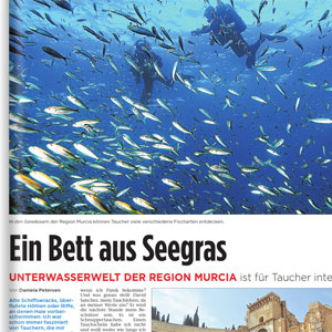 Ein Bett aus Seegras - Fuldaer Zeitung Ein Bett aus Seegras - Fuldaer Zeitung