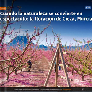 Cuando la naturaleza se convierte en espectáculo-El Viajero Cuando la naturaleza se convierte en espectáculo-El Viajero