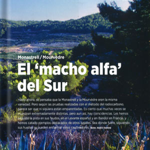 El macho alfa del sur-mi vino El macho alfa del sur-mi vino