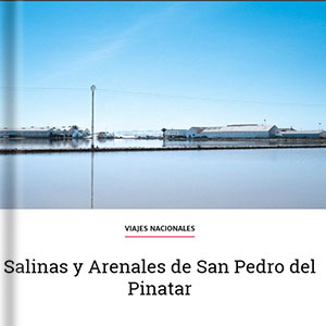 Salinas y arenales de San Pedro del Pinatar-Viaje al atardecer Salinas y arenales de San Pedro del Pinatar-Viaje al atardecer