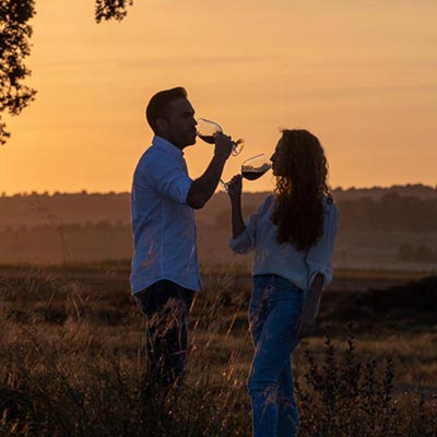 Gu�a de enoturismo en la Regi�n de Murcia