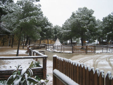 EL VALLE CENTRO ECUESTRE DE EDUCACI�N AMBIENTAL