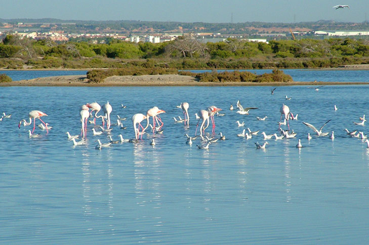 PARQUE REGIONAL SALINAS Y ARENALES DE SAN PEDRO