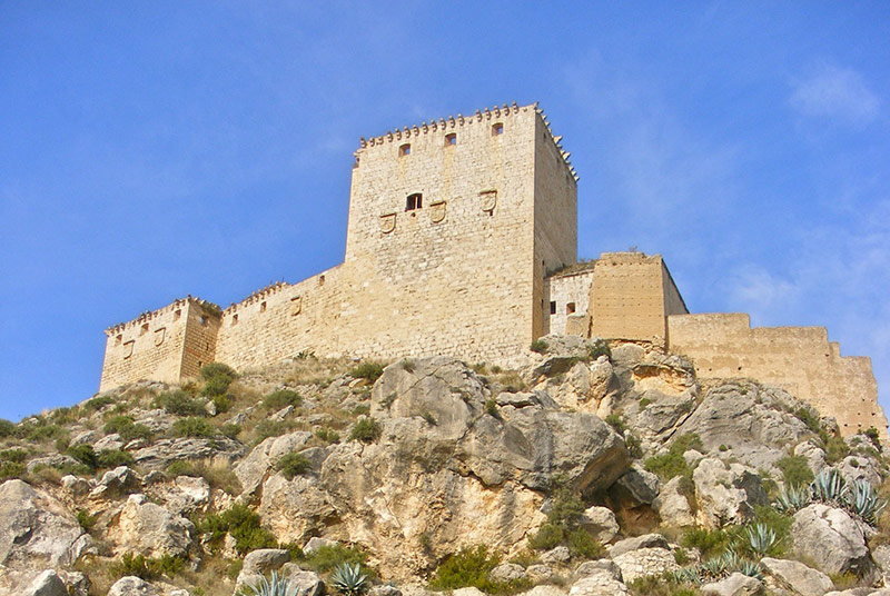 CASTILLO DE MULA 
