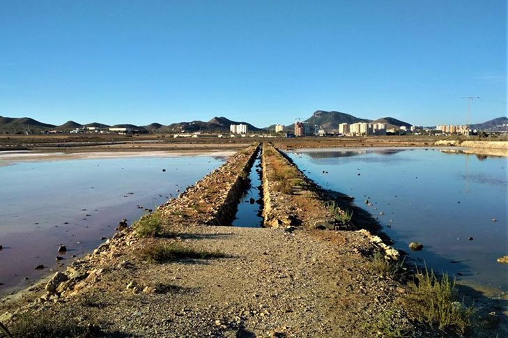 SALINAS DE MARCHAMALO