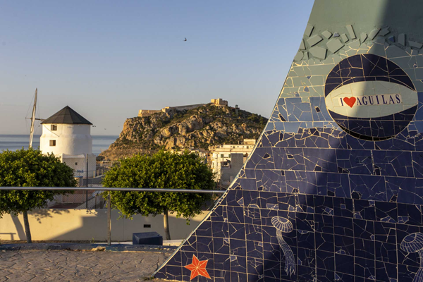 MIRADOR MOLINO DE SAGRERA