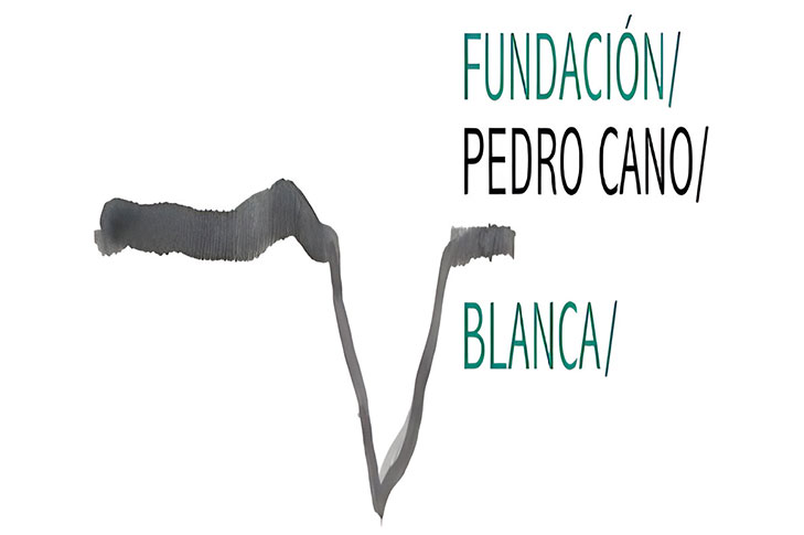 FUNDACI�N PEDRO CANO