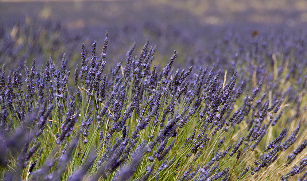 MORATALLA - OFICINA MUNICIPAL DE TURISMO