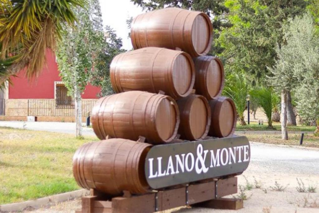 BODEGAS LLANO & MONTE