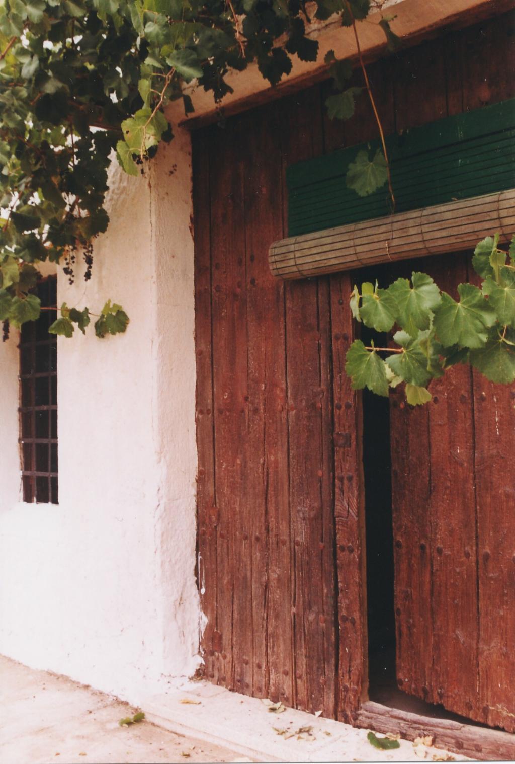 BODEGAS Y VI�EDOS EVINE