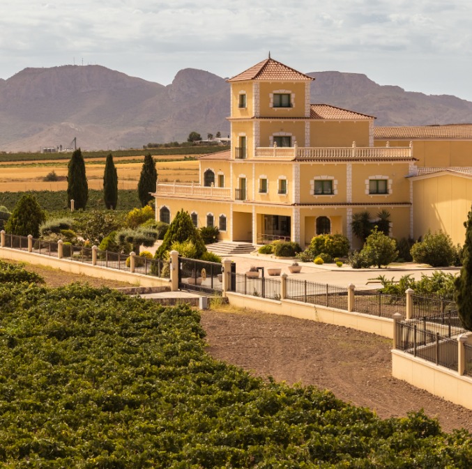 BODEGAS BLEDA